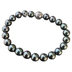 Mikimoto Black Peacock South Sea Pearl Bracelet 8-9mm 18k White Gold Diamond 8"