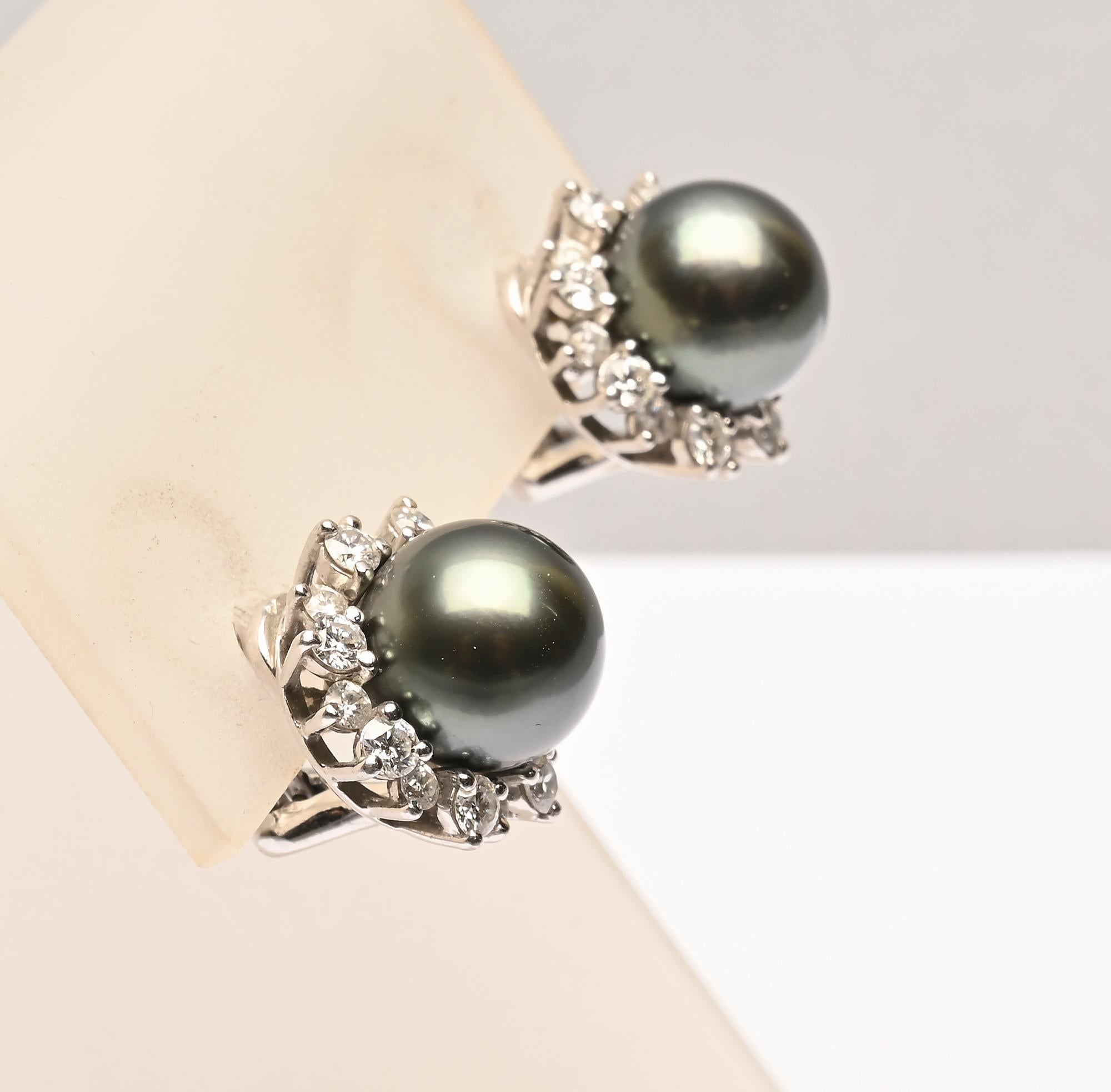 Superbes boucles d'oreilles en perles noires des mers du Sud de Mikimoto entourées de diamants en forme de poire. Les perles mesurent 10,5 millimètres. Il y a 32 diamants d'une valeur totale de 1,5 million d'euros.  poids de  .66 carats. Les boucles
