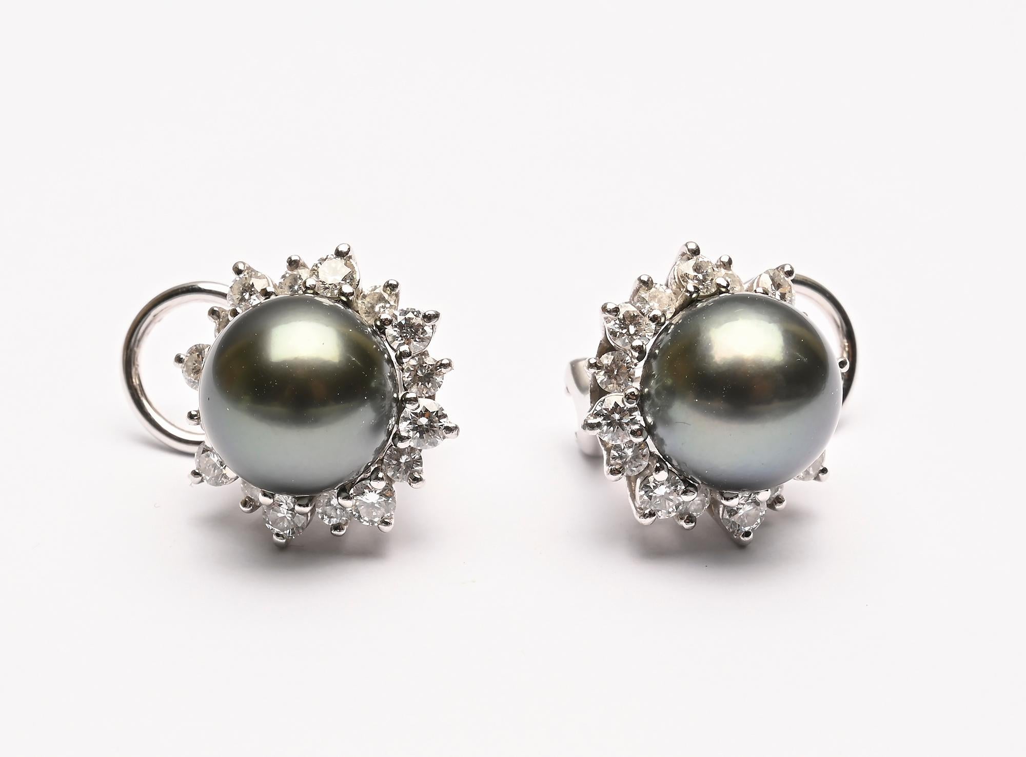 mikimoto black pearl earrings
