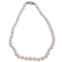 Mikimoto Cultured Akoya Pearl Necklace