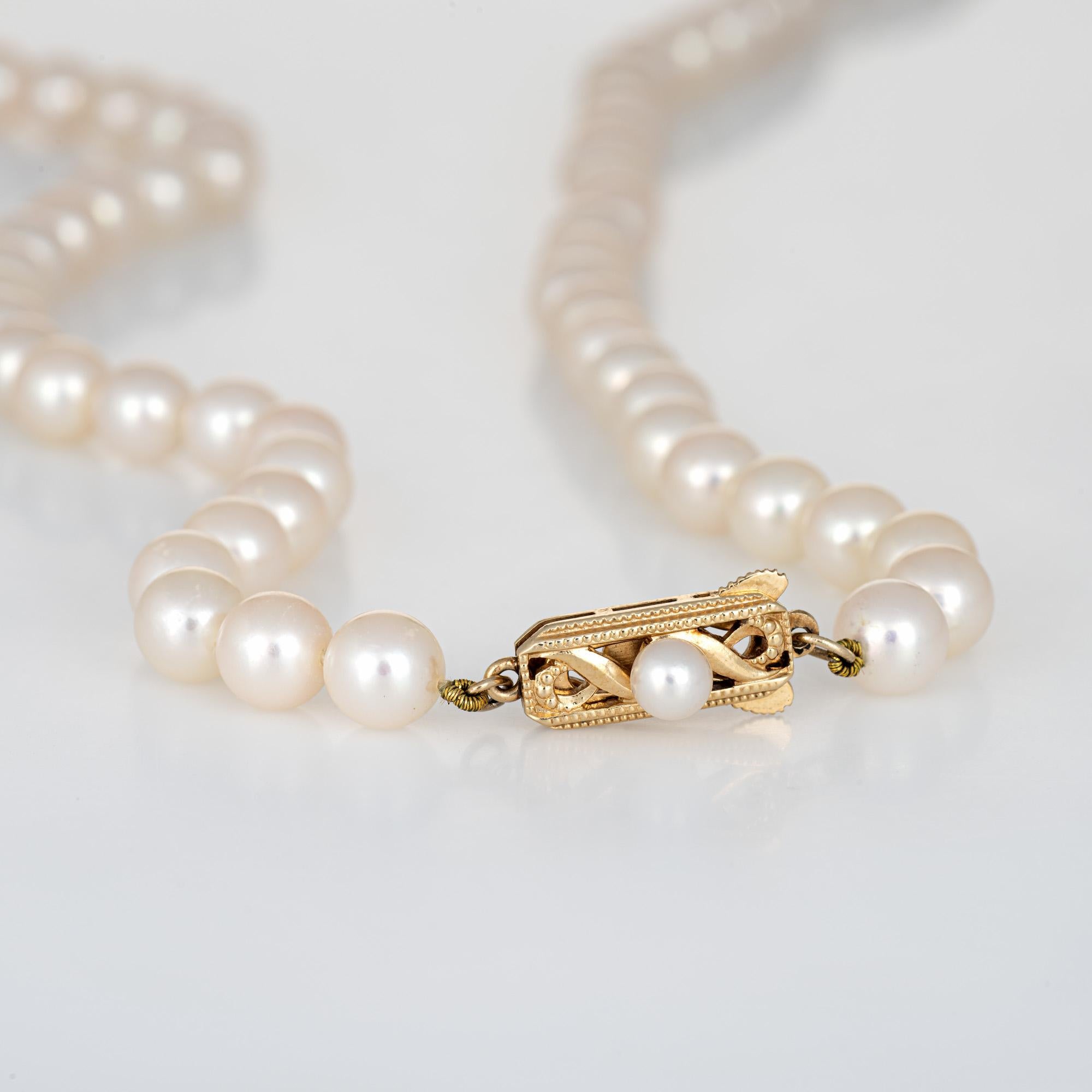 Mikimoto Zuchtperlen-Halskette Strang Oper 14 Karat Gold (Moderne)