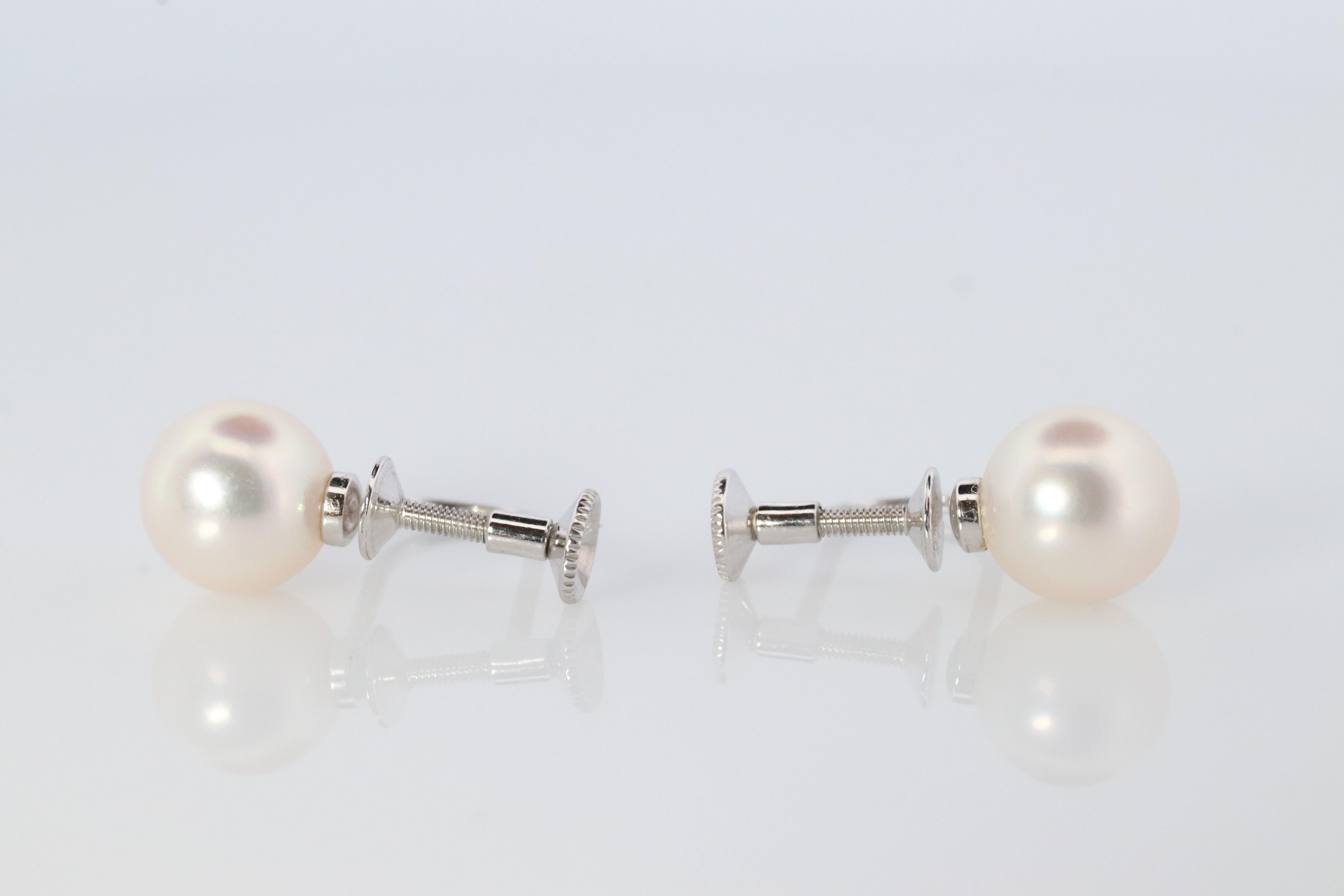 Mikimoto-Ohrstecker. 18k Gold Mikimoto Perlen-Ohrstecker. Undurchbrochener Clip an (Rundschliff)