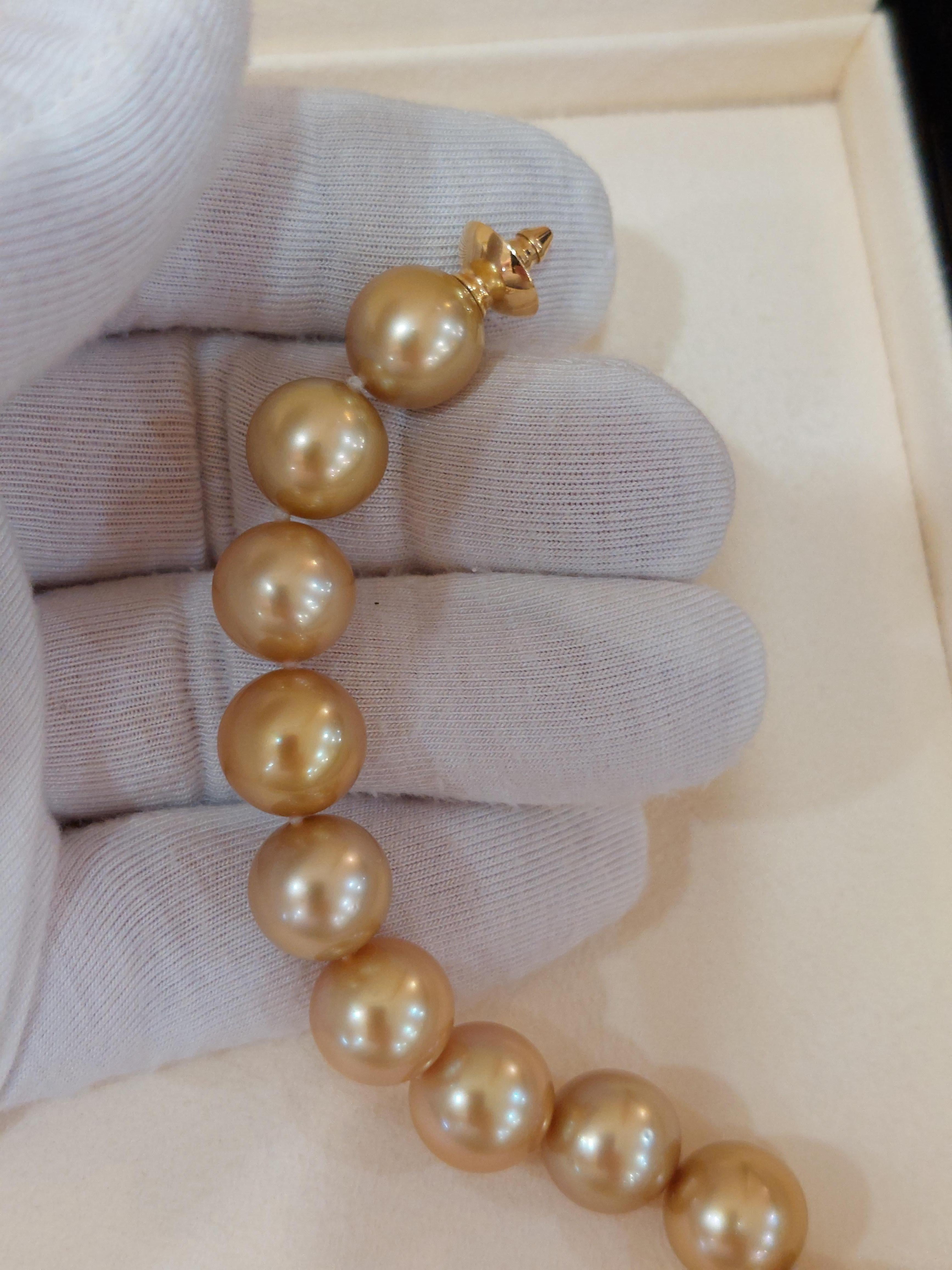 Collana di perle dei mari del sud dorate di Mikimoto in vendita 1