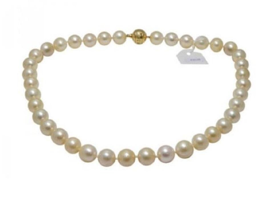 This Ladies Necklace is made of fine light cream color Akoya pearls (dimensions 11×10.5mm) and has 18k yellow gold clasp (clasp weight 15.6g).
Total length – 45cm(17.75″)
The Necklace comes in Luxury style.
Total necklace weight: 69.6 gram.