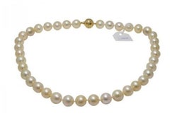 Mikimoto Jewelry Princess Akoya Pearls Yellow Gold Necklace