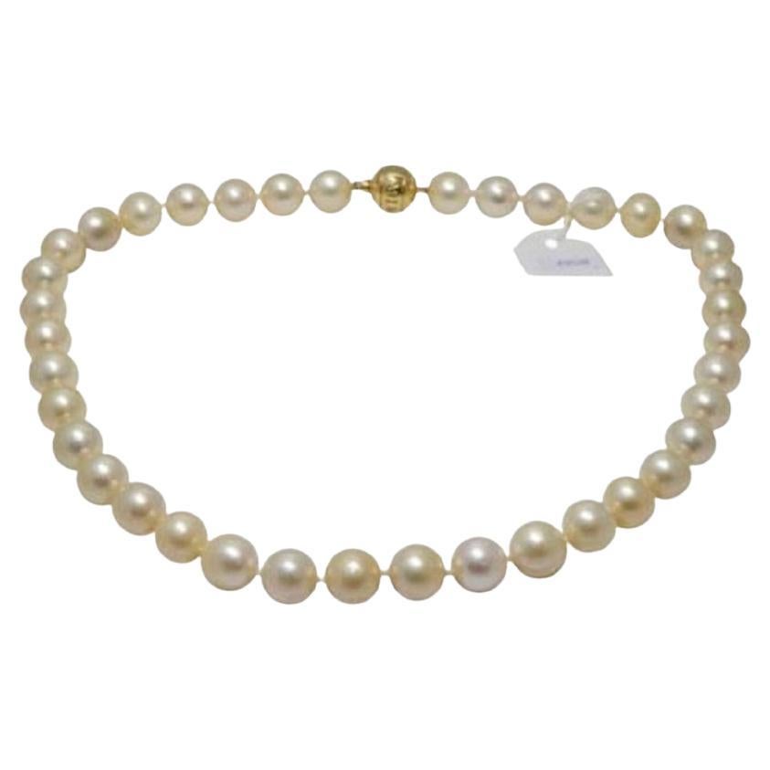 Mikimoto Jewelry Princess 18k Yellow Gold Pearls Ladies Necklace, ABK1G1TV13 For Sale
