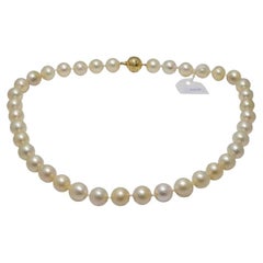 Mikimoto Jewelry Princess Collier pour femmes en or jaune 18 carats et perles, ABK1G1TV13