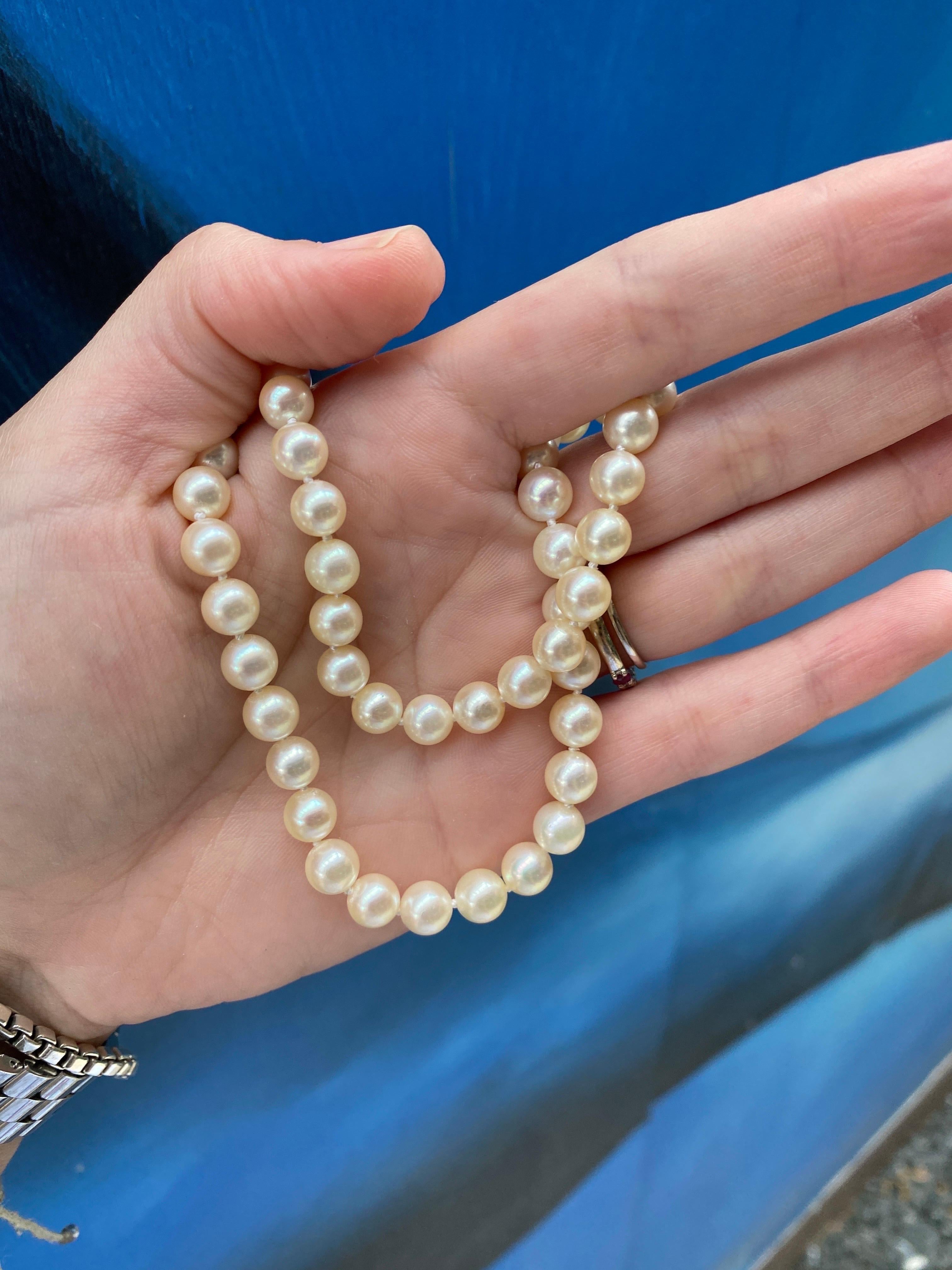 Mikimoto: 18 Karat Gelbgold Halskette mit filigranem Verschluss aus geknüpfter Zuchtperle im Zustand „Hervorragend“ in Houston, TX