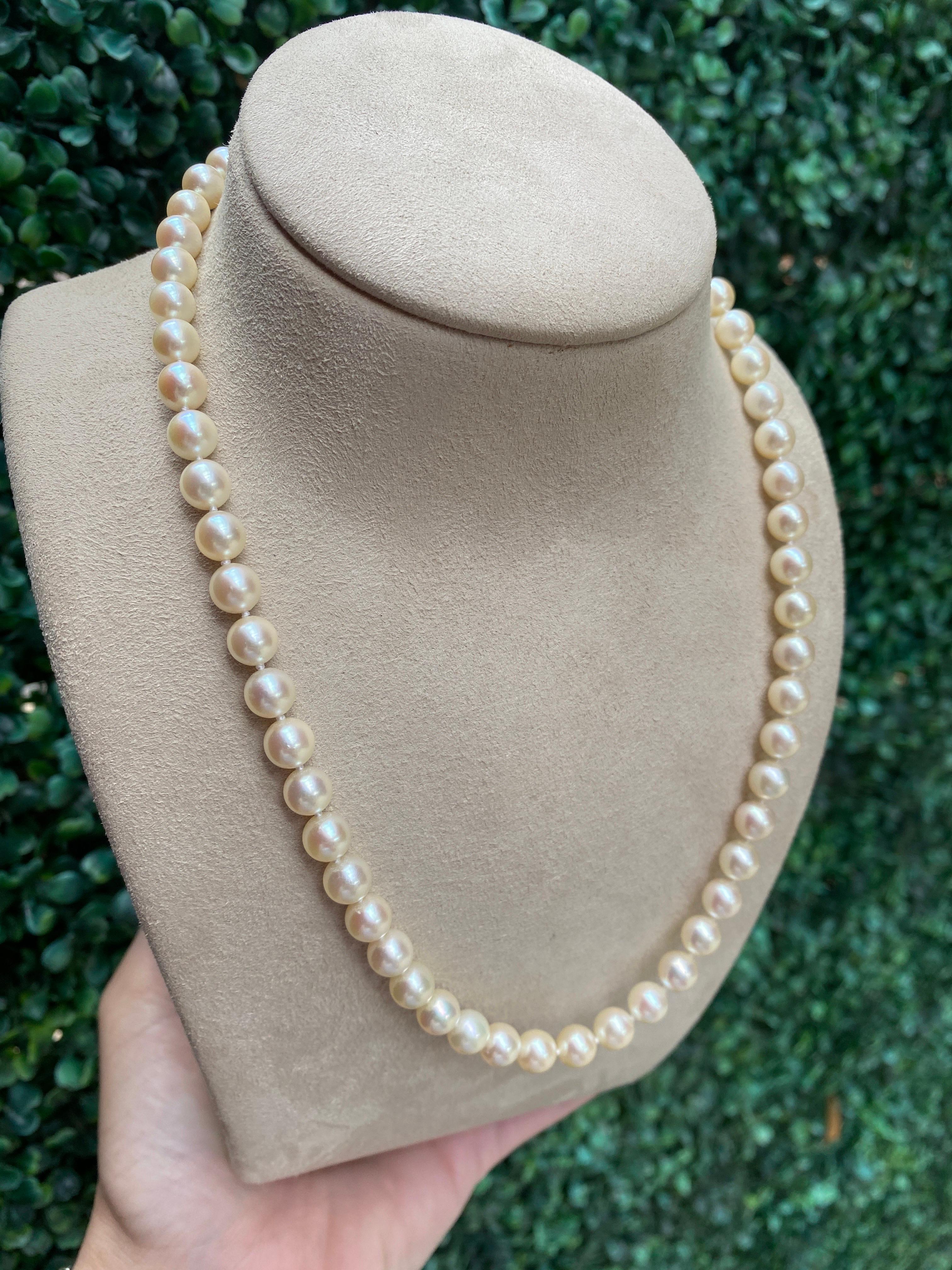 Mikimoto: 18 Karat Gelbgold Halskette mit filigranem Verschluss aus geknüpfter Zuchtperle 1