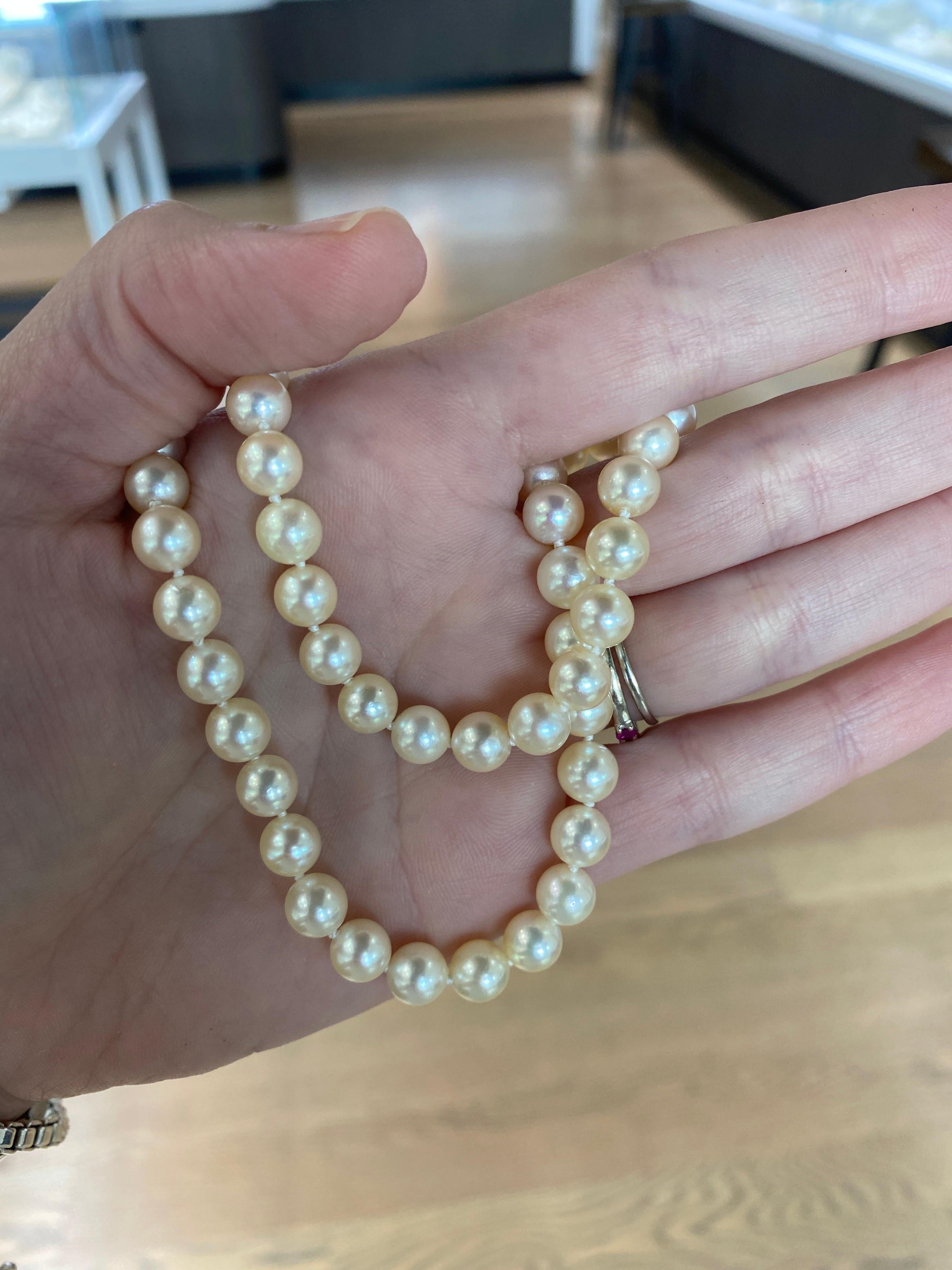 Mikimoto: 18 Karat Gelbgold Halskette mit filigranem Verschluss aus geknüpfter Zuchtperle 3