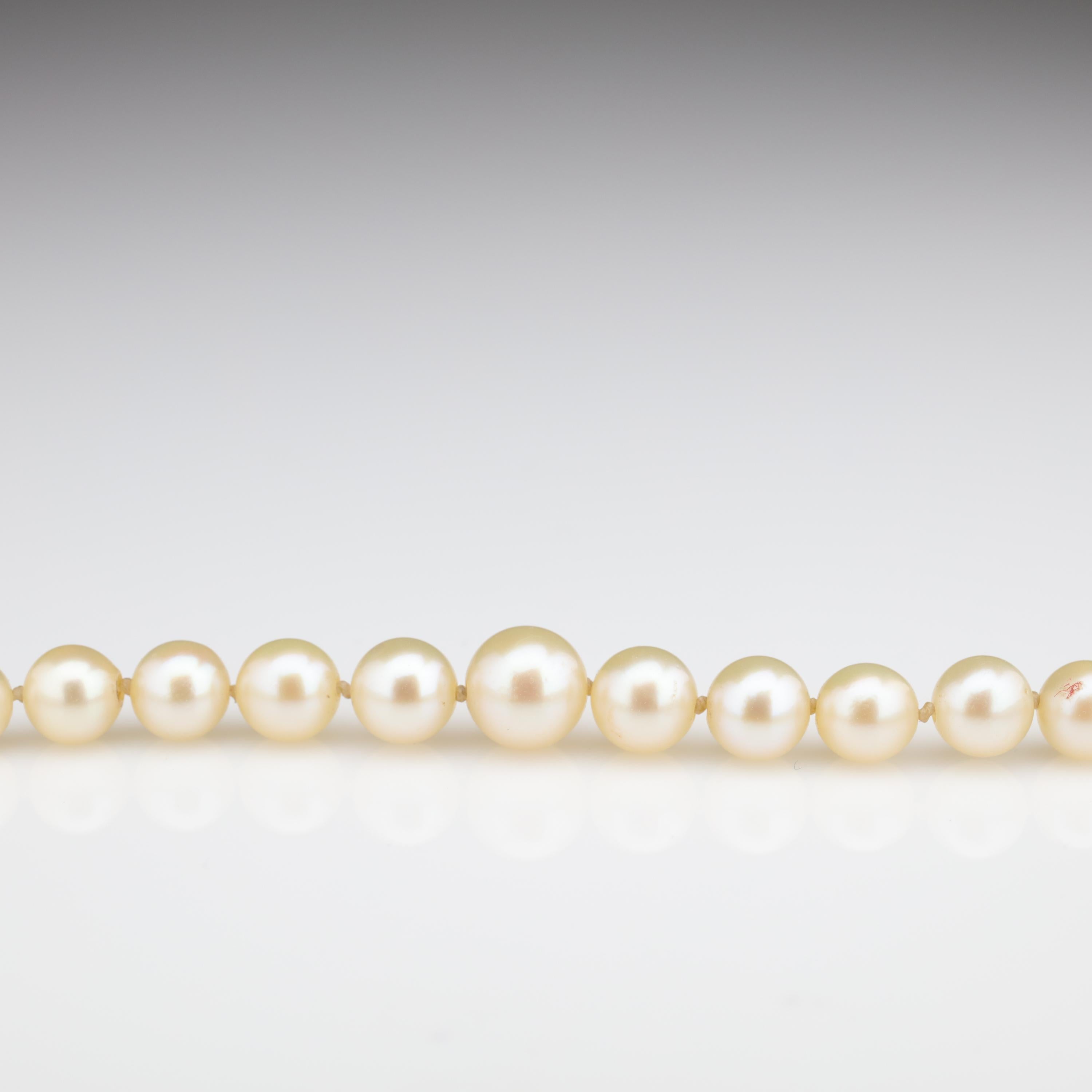 Mikimoto Original Strand of First Viable Cultured Pearls, circa 1920s 2