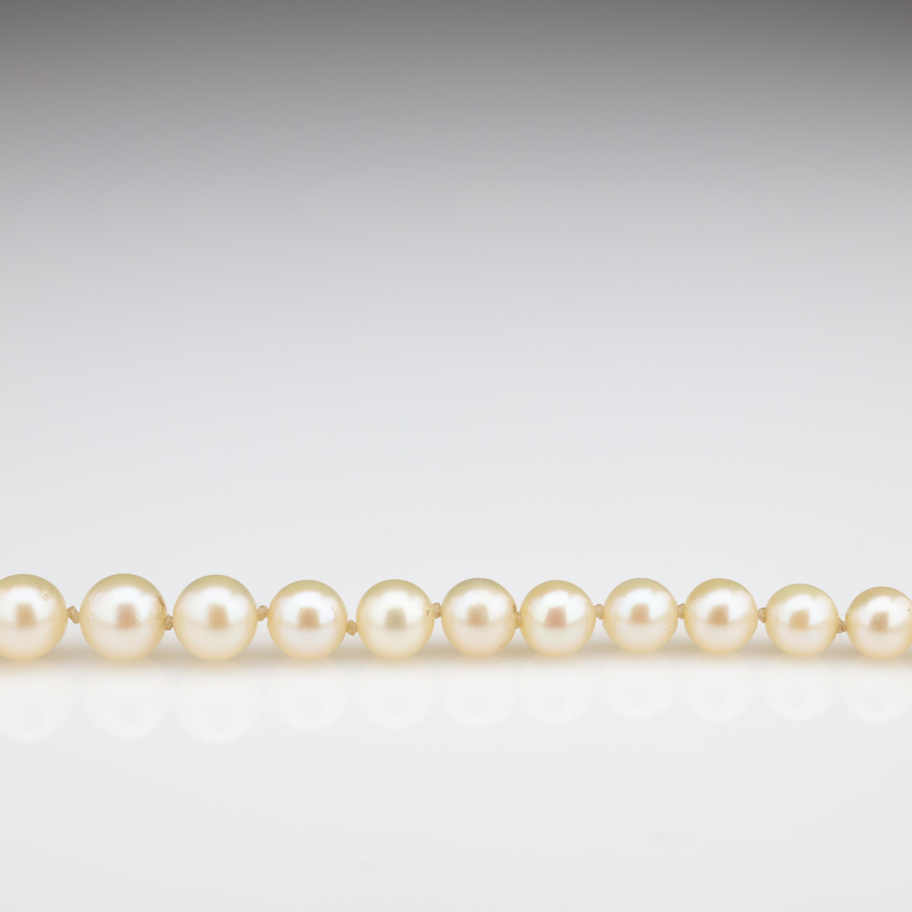 Mikimoto Original Strand of First Viable Cultured Pearls, circa 1920s 3