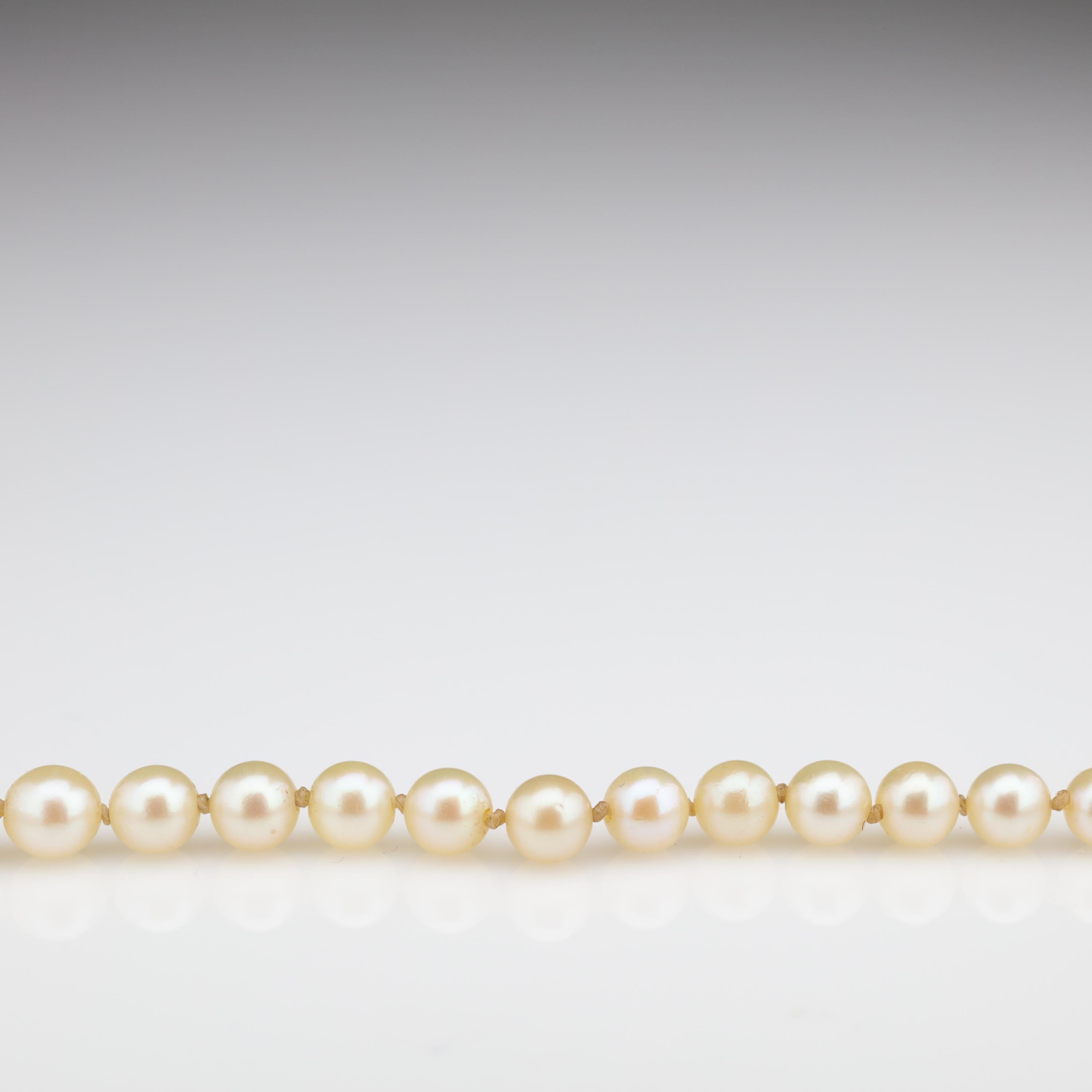 Mikimoto Original Strand of First Viable Cultured Pearls, circa 1920s 4