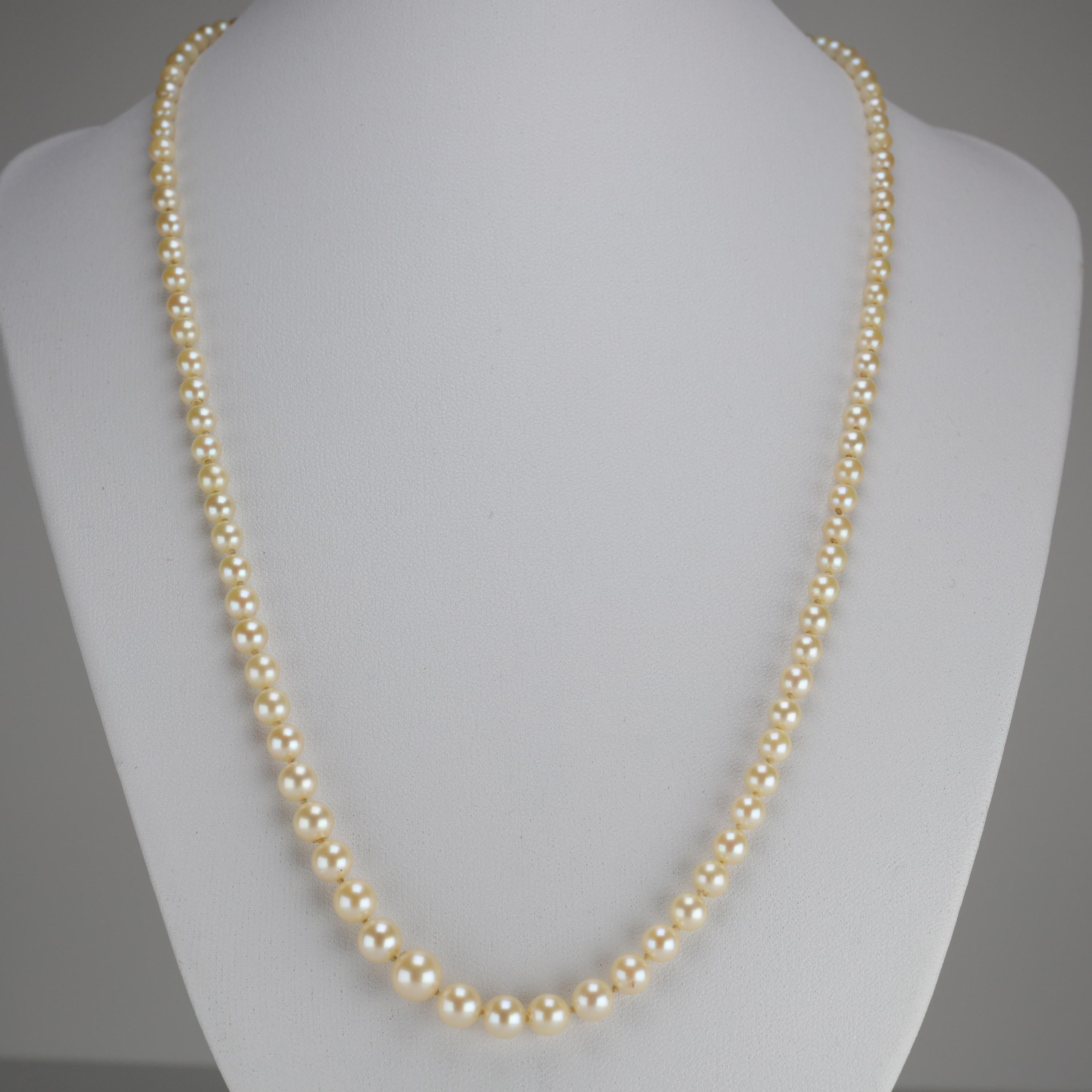 Mikimoto Original Strand of First Viable Cultured Pearls, circa 1920s 6