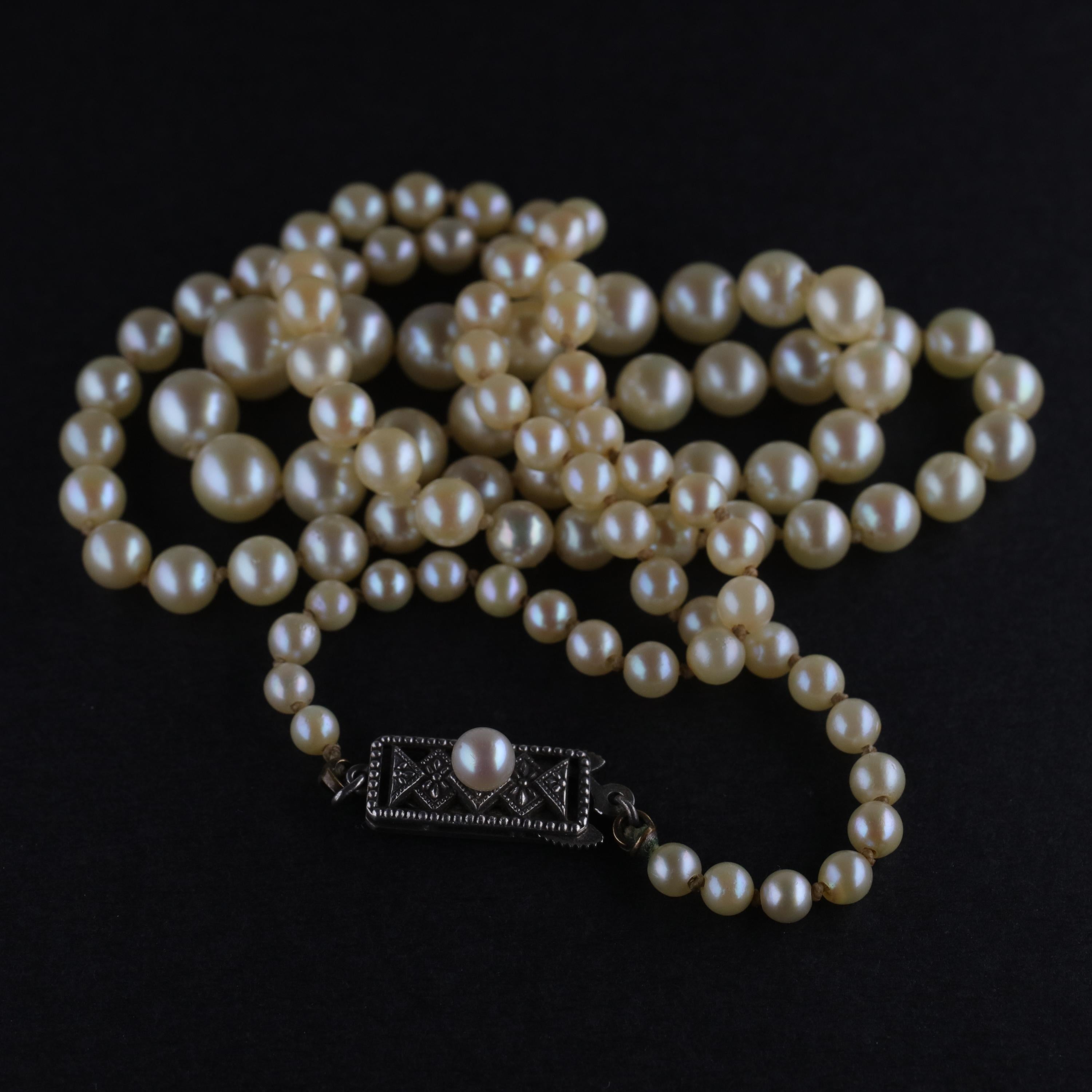 Mikimoto Original Strand of First Viable Cultured Pearls, circa 1920s 8