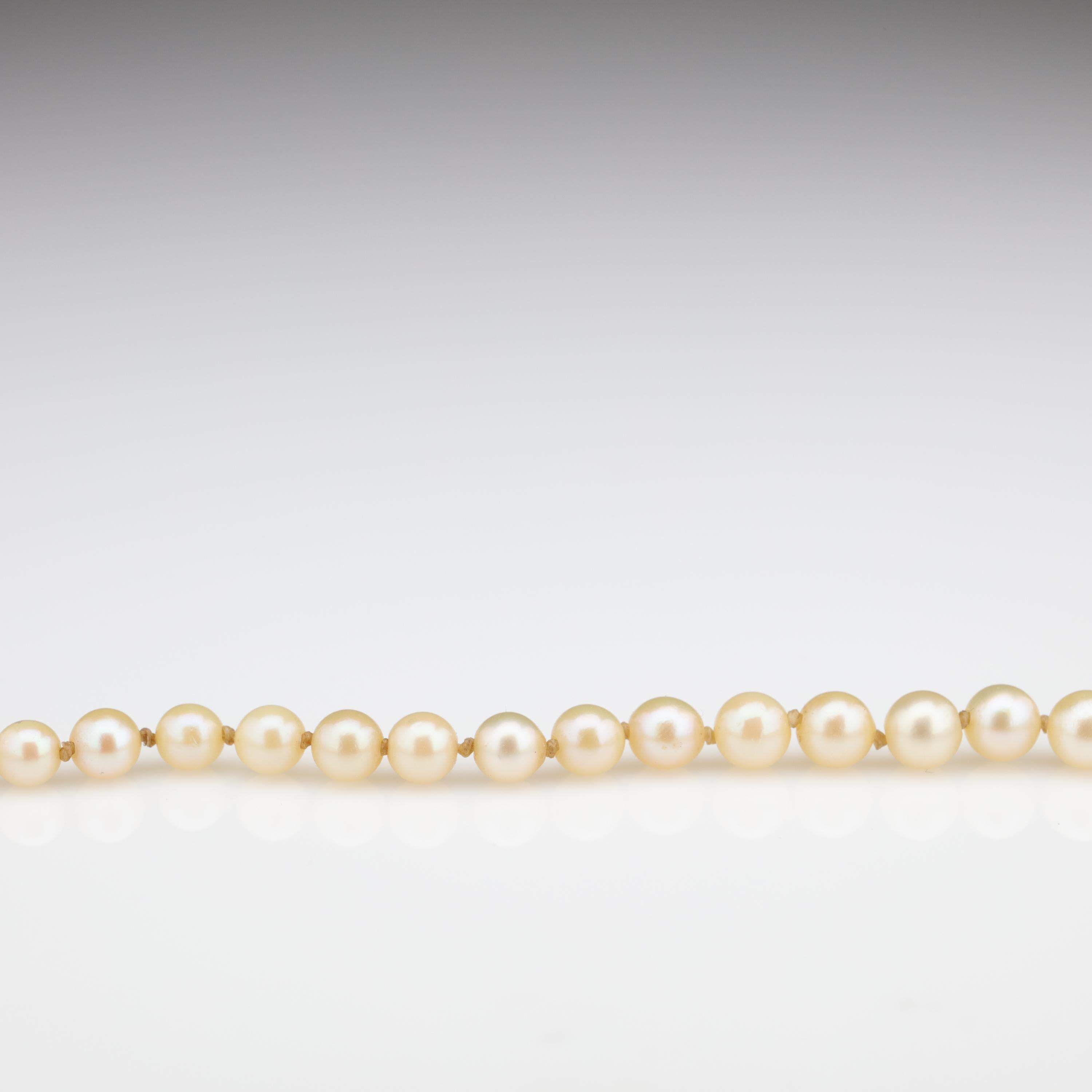 Mikimoto Original Strand of First Viable Cultured Pearls, circa 1920s In Excellent Condition In Southbury, CT