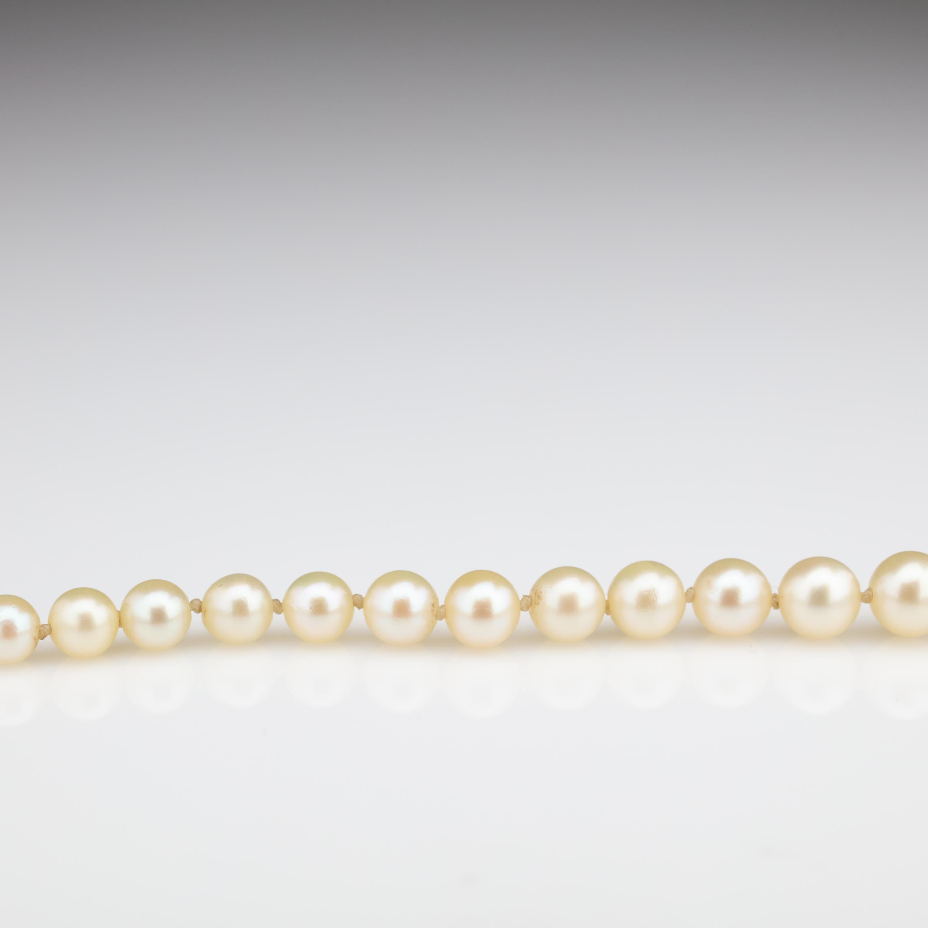 Mikimoto Original Strand of First Viable Cultured Pearls, circa 1920s 1