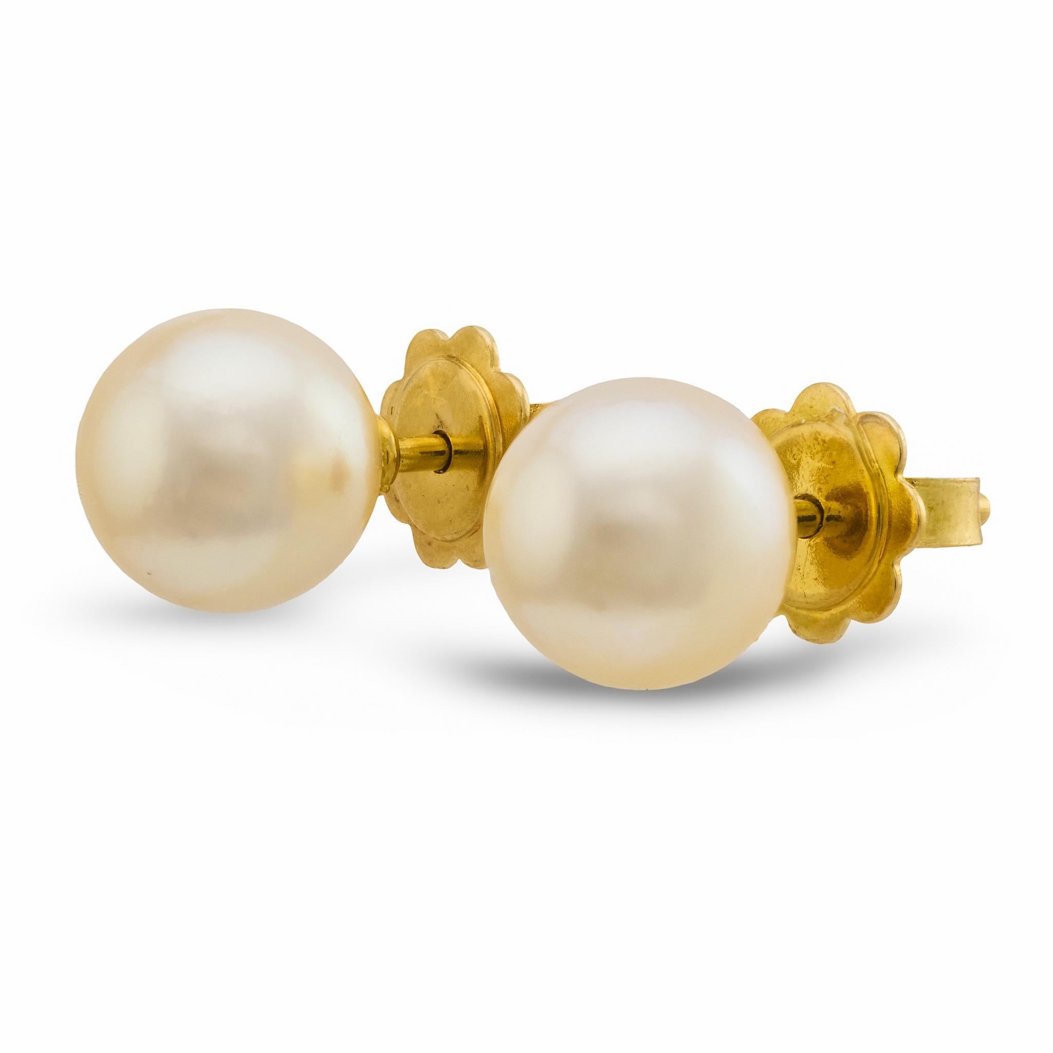 Contemporain Boucles d'oreilles en or jaune 18k avec perles de Mikimoto en vente