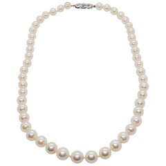 Mikimoto Pearl and White Diamond Necklace in 18 Karat White Gold