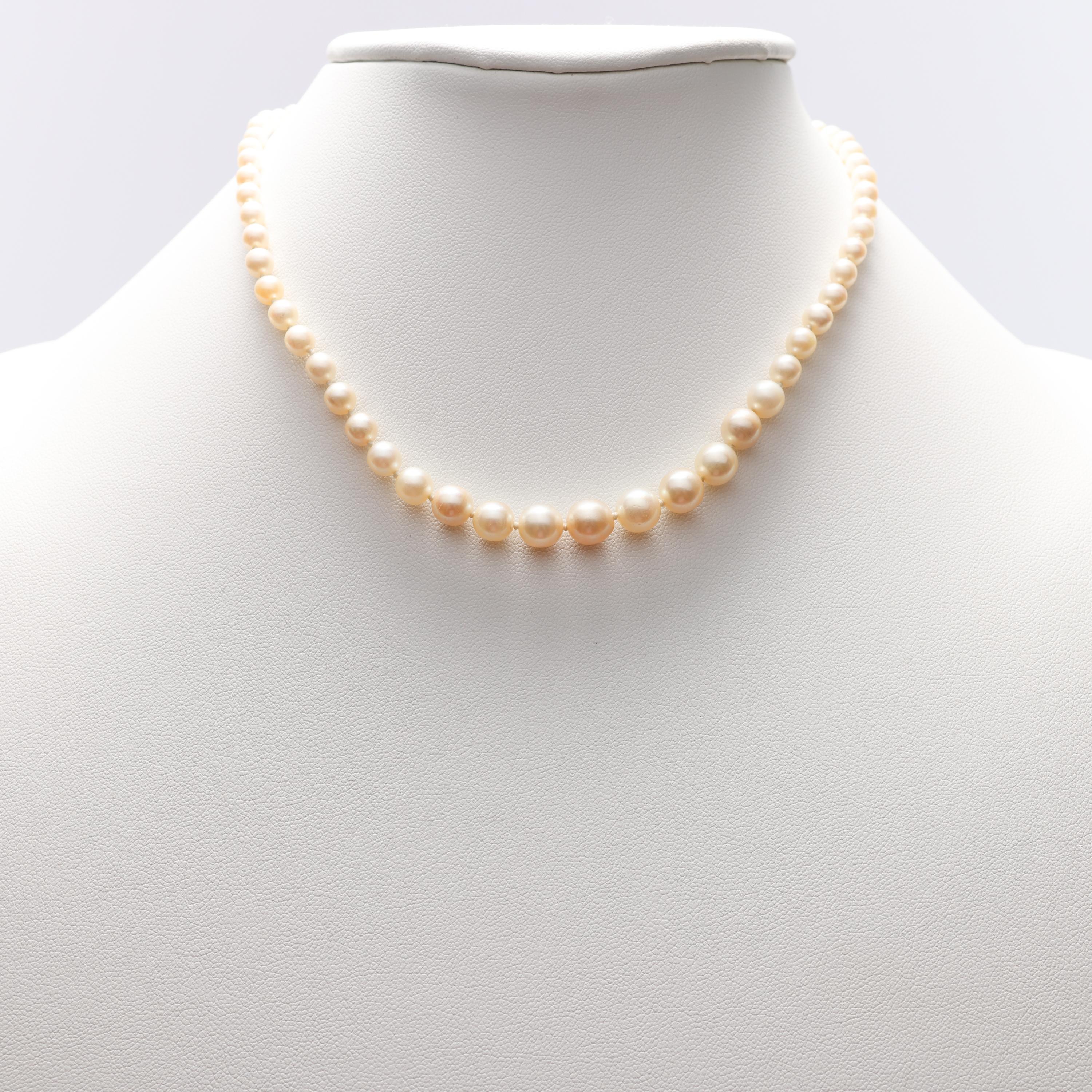 Art Deco Mikimoto Pearl Necklace 1926 World's Fair Edition Diamond Clasp Original