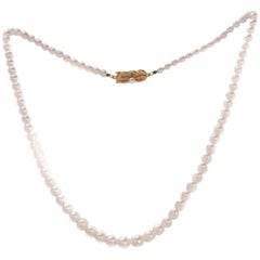 Mikimoto Pearl Necklace with 18 Karat Yellow Gold