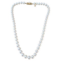 Mikimoto Pearl Strand Necklace 18k Yellow Gold 6.5 to 7mm Akoya Box Paper 16"