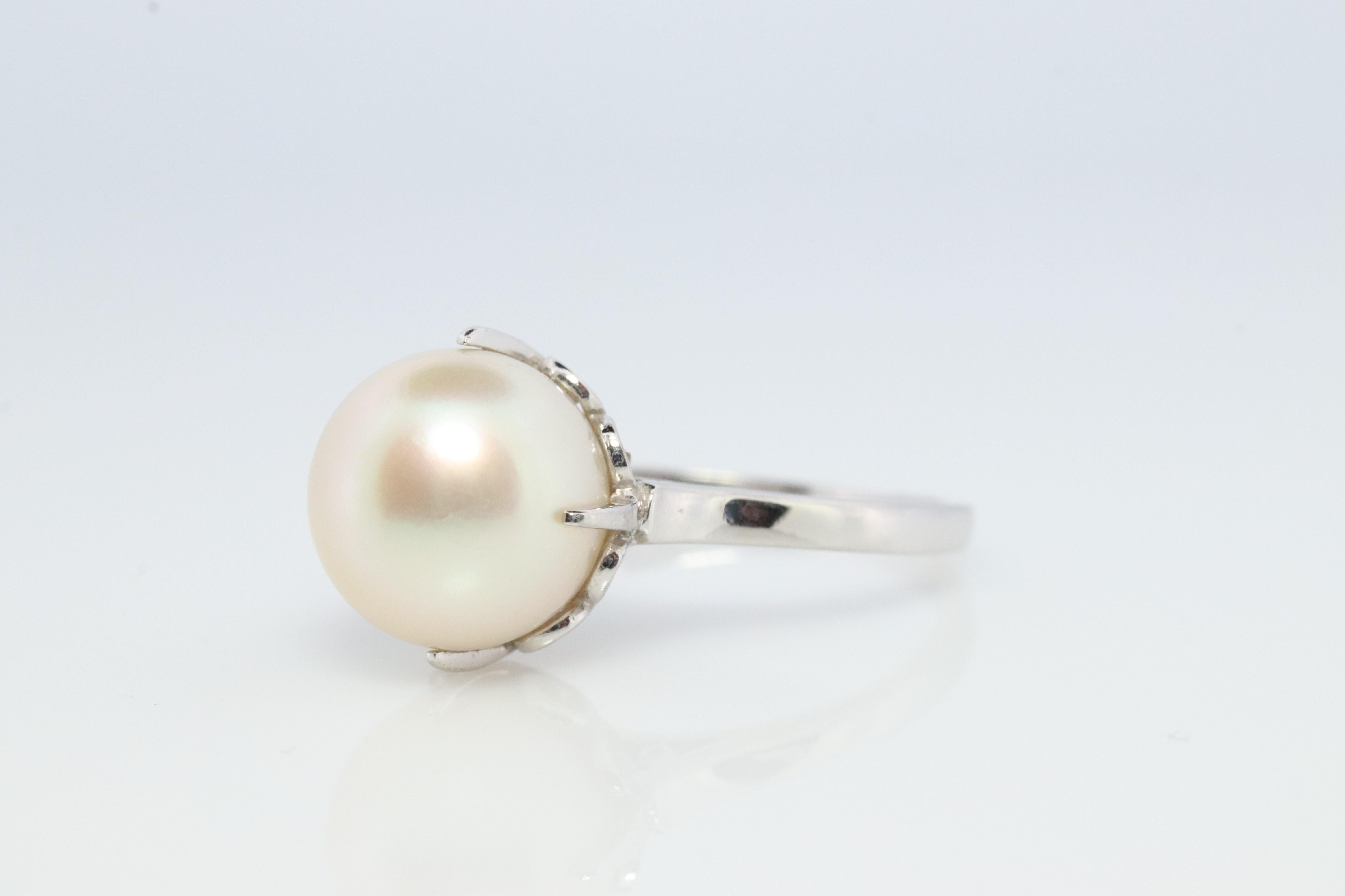 Genuine MIKIMOTO ring

Platinum Pt900 Claw Set Akoya Pearl

MIKIMOTO hallmarked accordingly

Details:

Size 5.25
3.8grams total
9mm akoya pearl