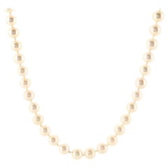 Mikimoto Single Strand Necklace Round Cultured Pearls with 18K Yellow Gold
