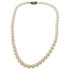 Vintage Mikimoto Single Strand Pearl Necklace