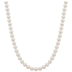 Mikimoto Single Strand Pearl Necklace with 18 Karat Yellow Gold Clasp