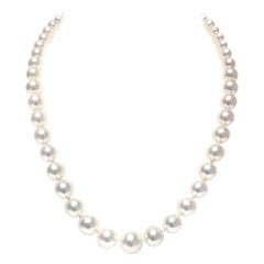 Mikimoto Collier de perles blanches des mers du Sud 7000921