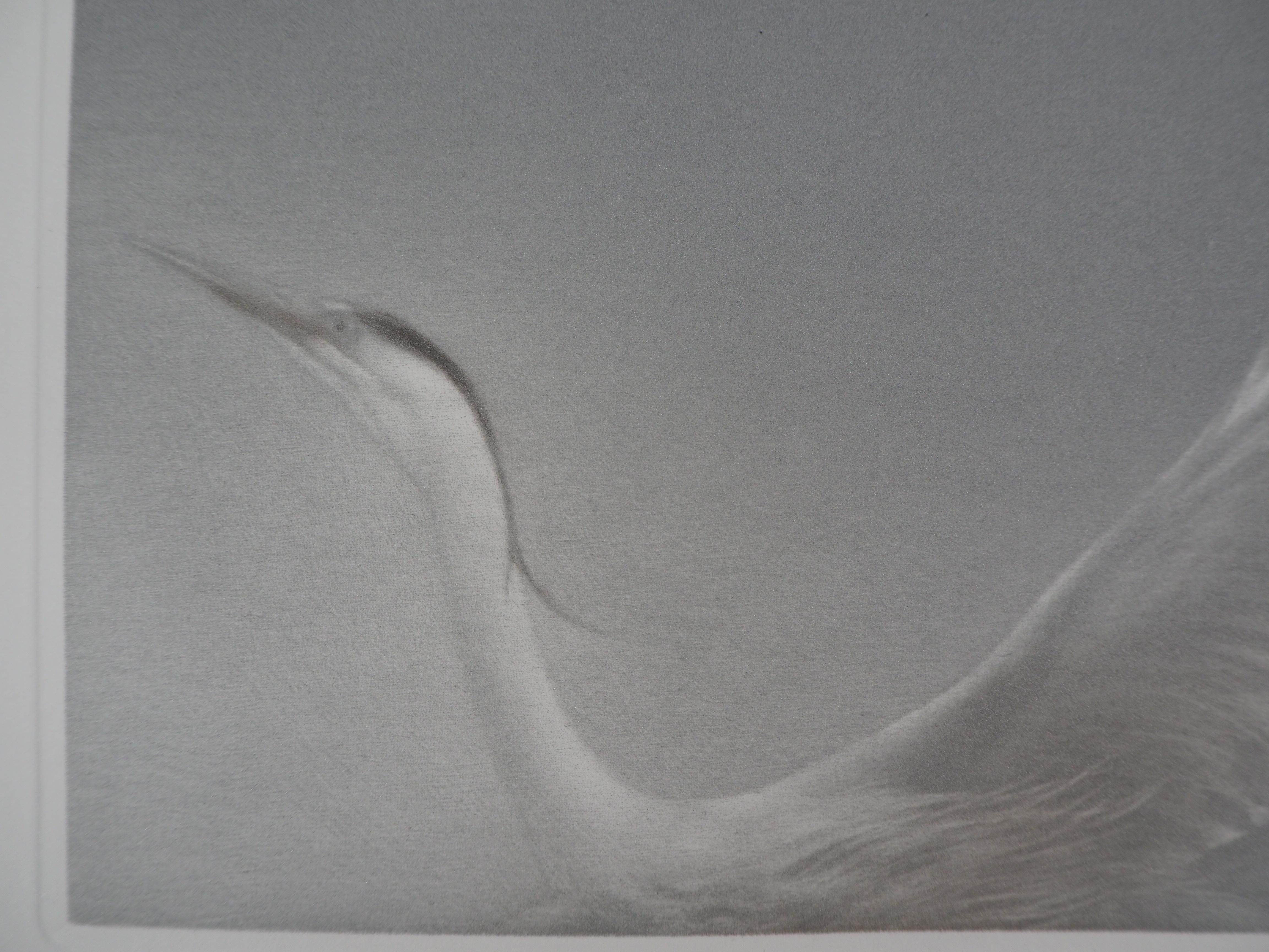 Flying Heron - Original handsigned etching / 90ex - Gray Animal Print by Mikio Watanabe