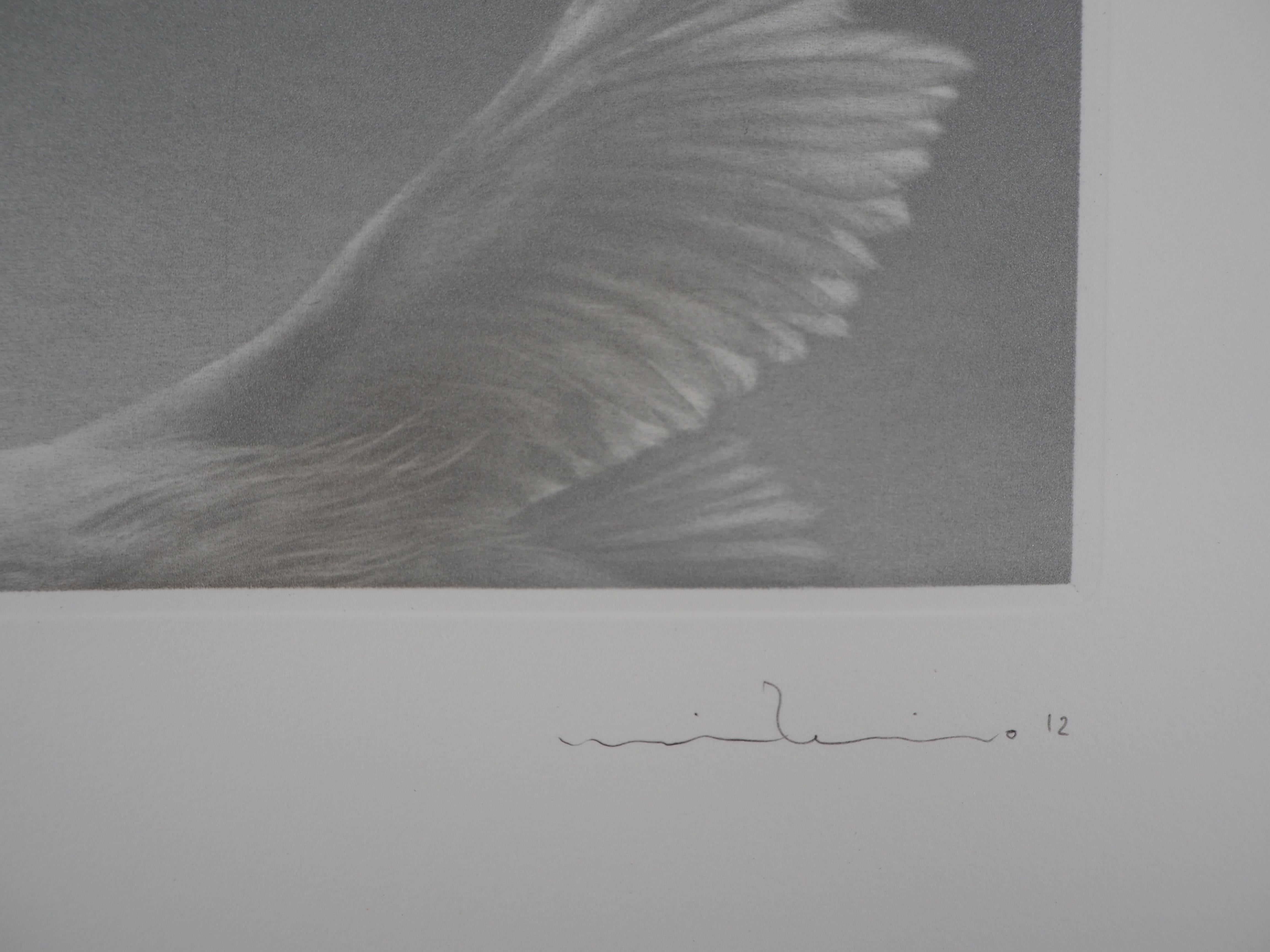 Flying Heron - Original handsigned etching / 90ex 1