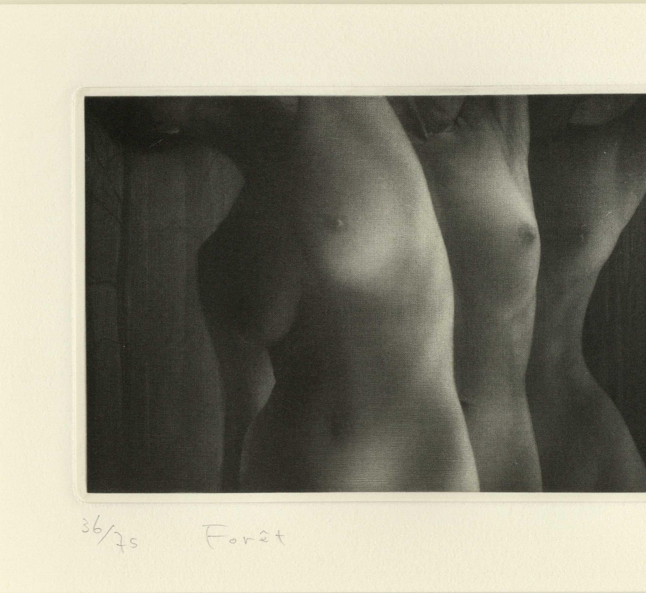 Foret - Print by Mikio Watanabe