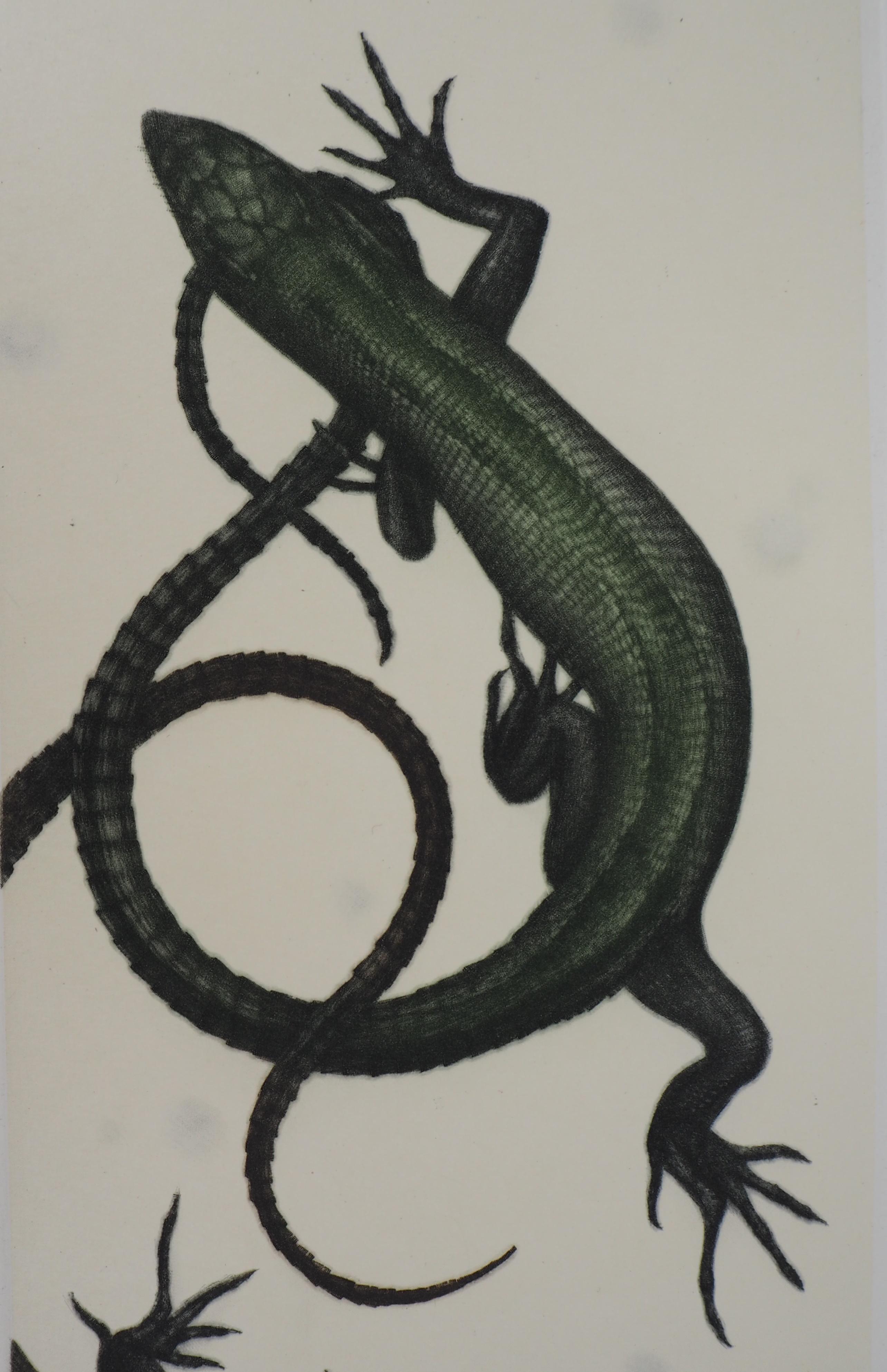 Lizards - Original handsigned etching / 90ex - Modern Print by Mikio Watanabe