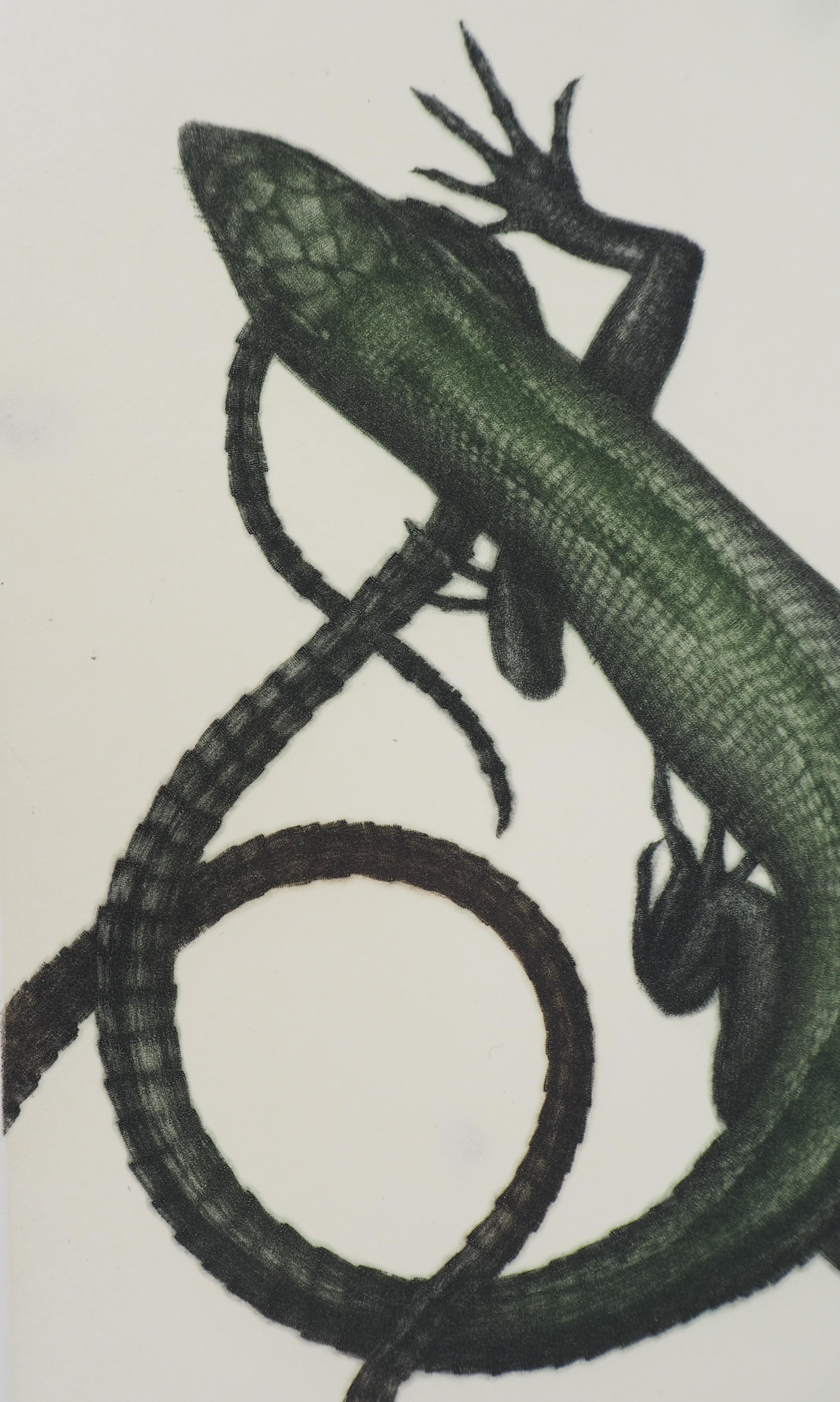 Lizards - Original handsigned etching / 90ex - Gray Animal Print by Mikio Watanabe