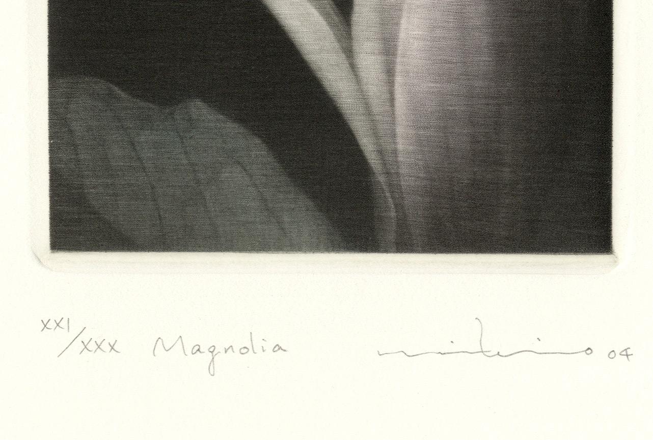 Magnolia - Contemporary Print by Mikio Watanabe