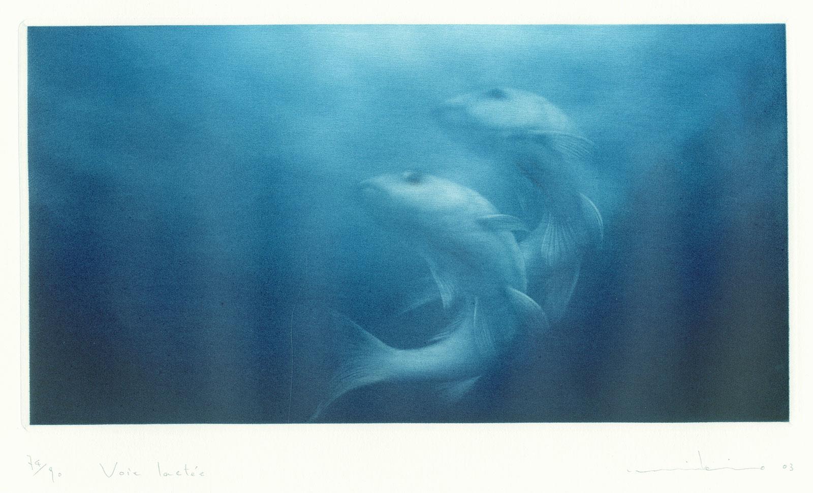 Memoire d' Eau III (Memory of the Water conjures up two fish swimming in tandem) - Contemporary Print by Mikio Watanabe