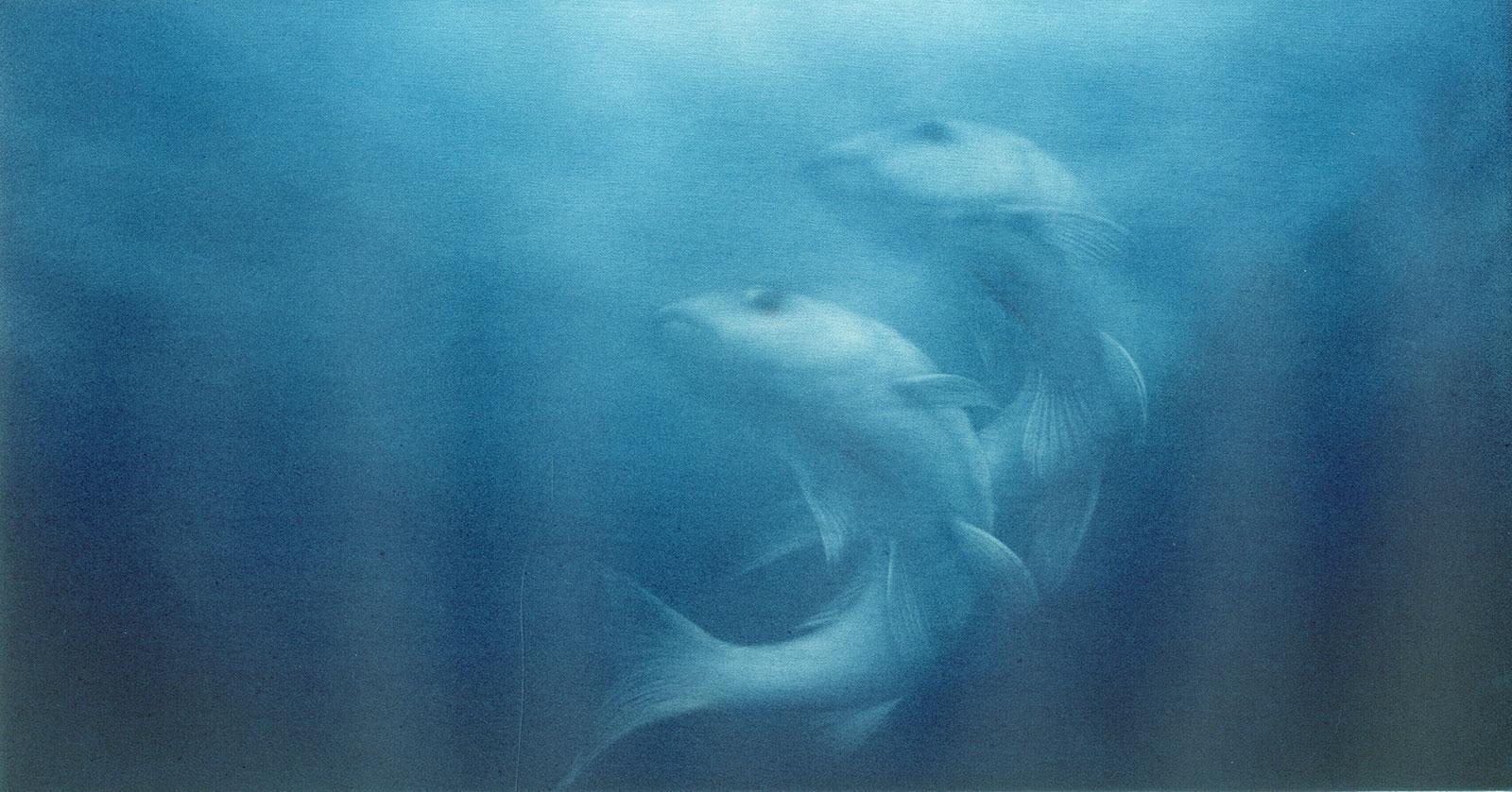 Mikio Watanabe Animal Print - Memoire d' Eau III (Memory of the Water conjures up two fish swimming in tandem)