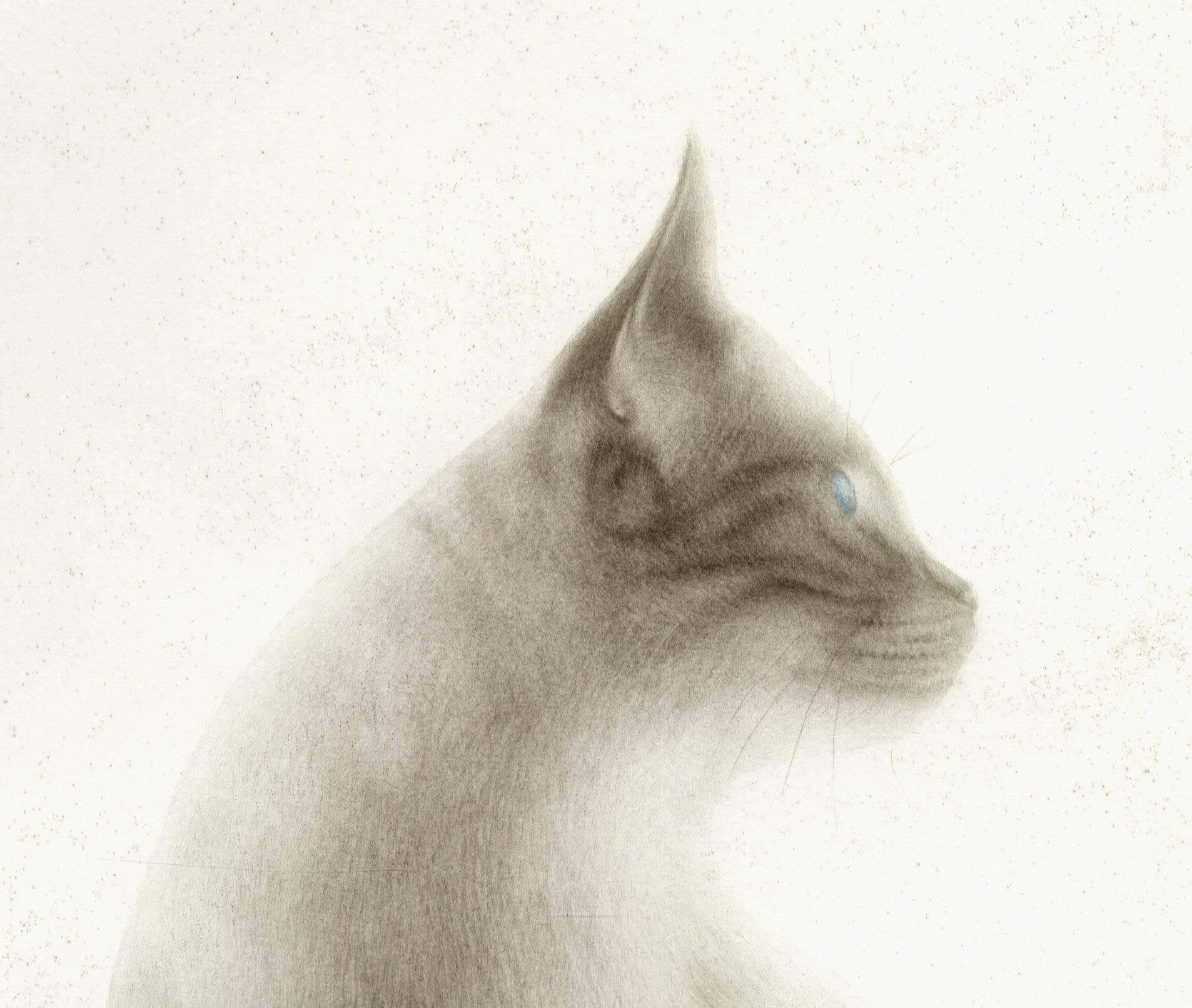 Shiro (portrait of an elegant, alert cat sitting in a meadow with flying insect) - Print by Mikio Watanabe