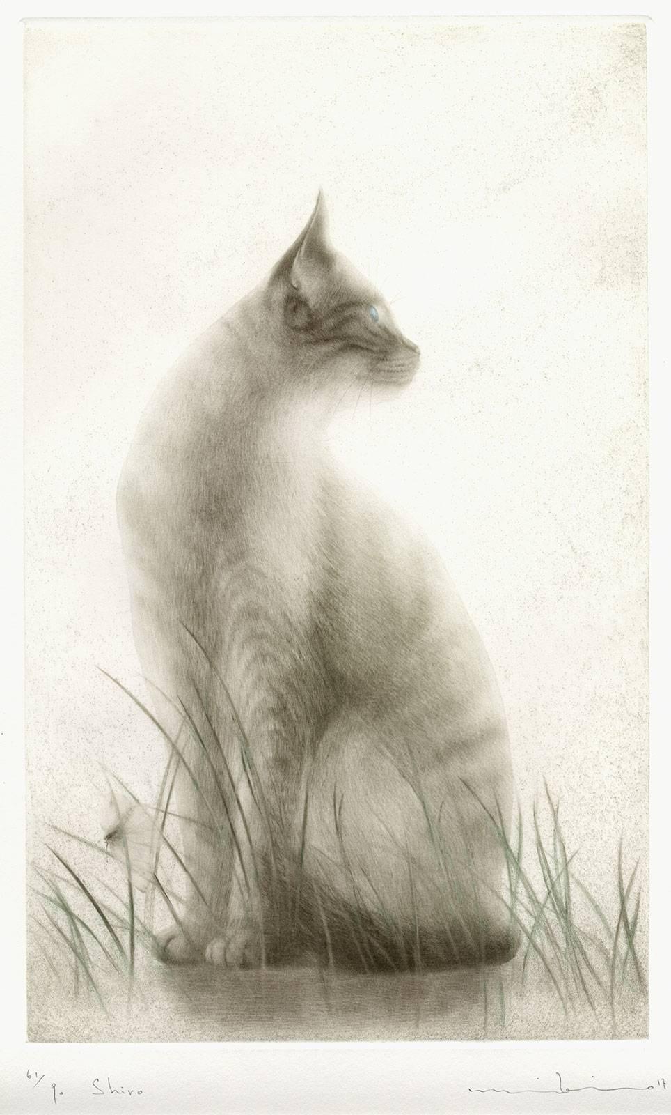 Mikio Watanabe Landscape Print - Shiro (portrait of an elegant, alert cat sitting in a meadow with flying insect)