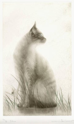 Shiro (porträt einer eleganten, aufmerksamen Katze, die in einem Wiesen mit fliegenden Insekten sitzt)