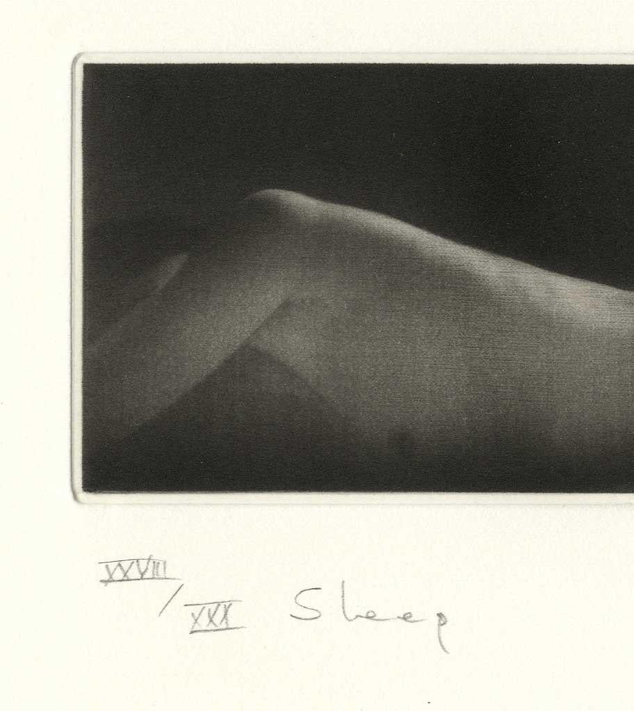 Sleep - Print by Mikio Watanabe