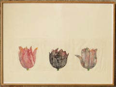 Kalal, Mashad, Nabil (Adjudani)