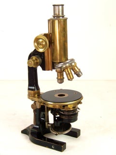 Mikroskop C.Reichert, Wien, C.K. Zoological Institute