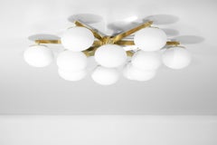 "Mila" Italian Made Star Shaped Fixture (Flush Mounted)