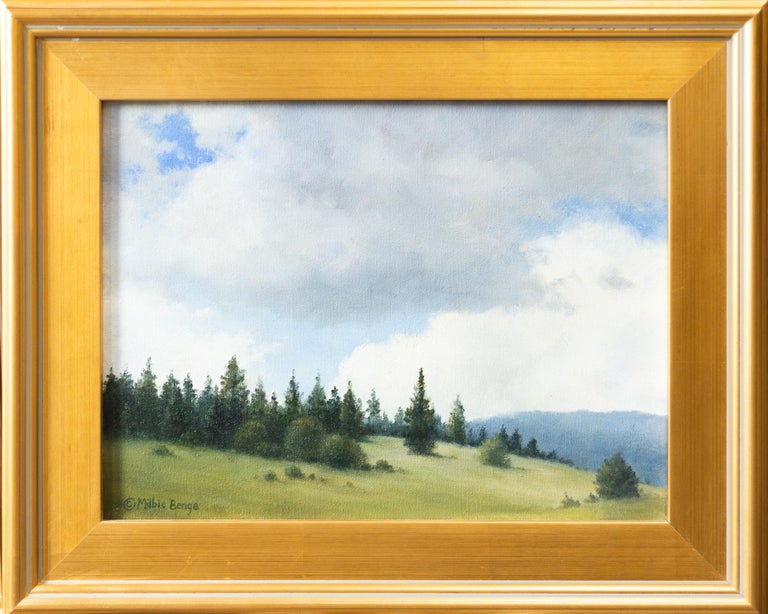 Milbie Benge New Mexico Big Sky For Sale at 1stDibs
