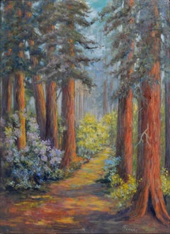 Henry Cowell Redwoods