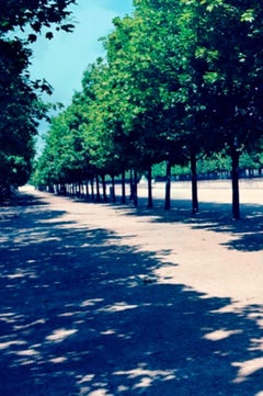 A Family Portrait #1 – Miles Aldridge, Woman, Fashion, Family, Park, Colour, Art