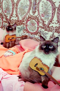 Storia di un gatto #3 - Miles Aldridge, Donna, Moda, Erotico, Modello, Gatto, Fiori, Arte